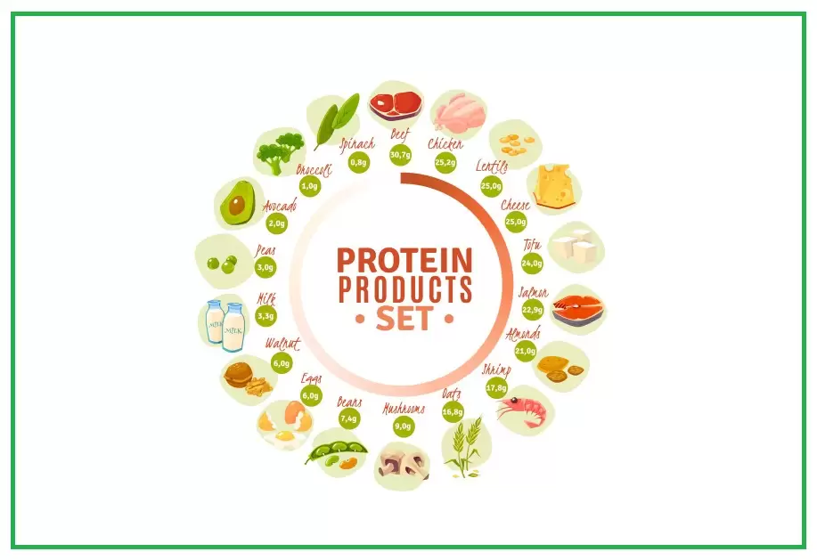 Wellhealthorganic.Com:Vegetarian Protein Sources