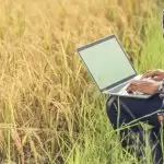 Smart Software Helps Farmers