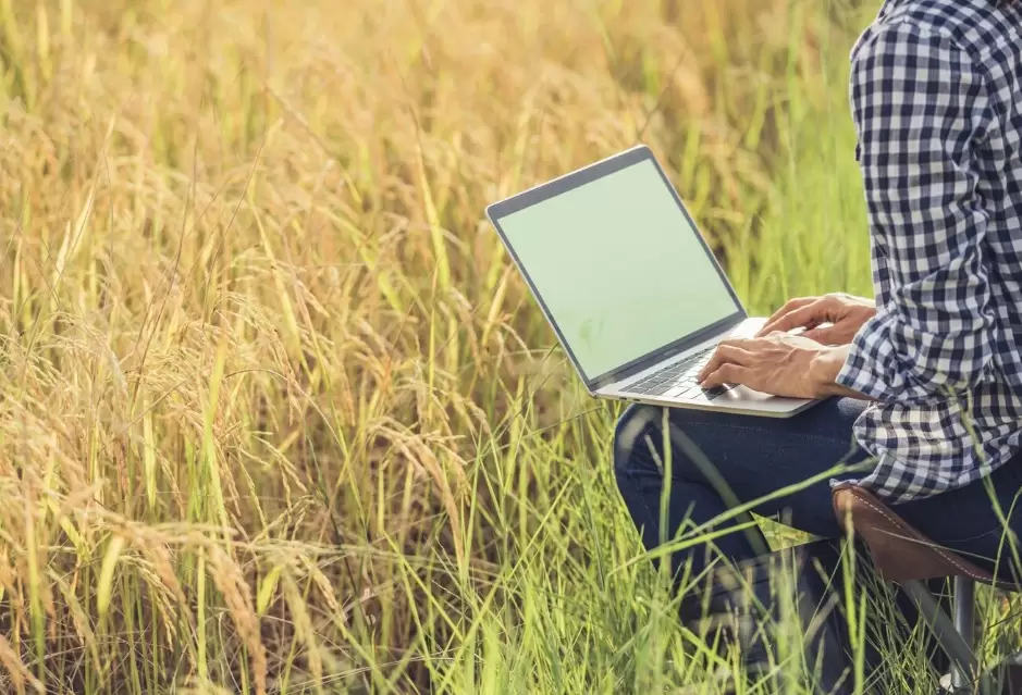Smart Software Helps Farmers
