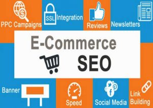 Ecommerce SEO Package