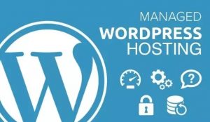 Best Managed WordPress Hosting Provider