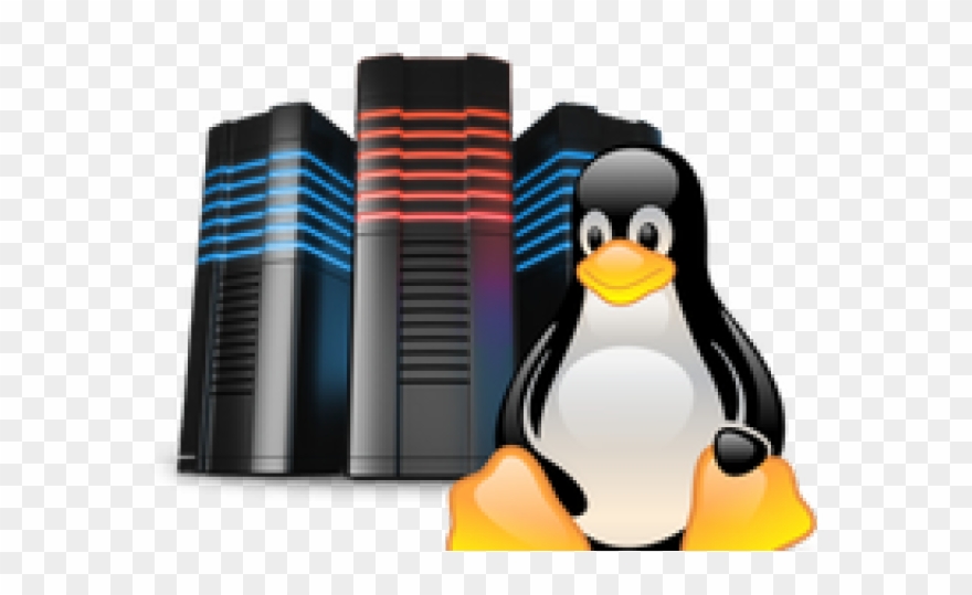 Linux Web Hosting