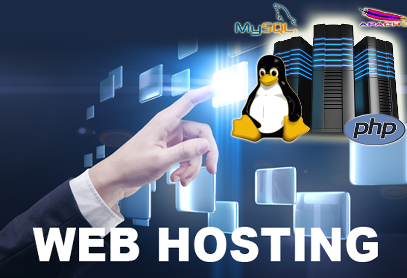 Cheap Web Hosting services