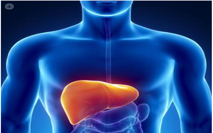 Causes and Treatment for Alcoholic Liver