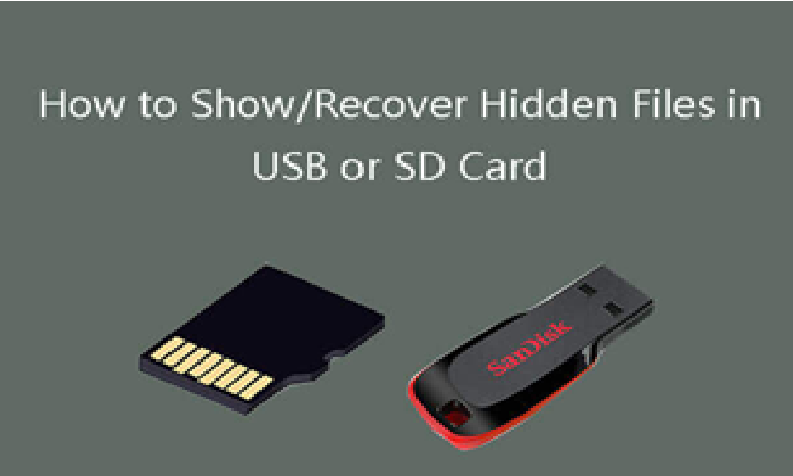 Recover Hidden Files in USB or SD Card