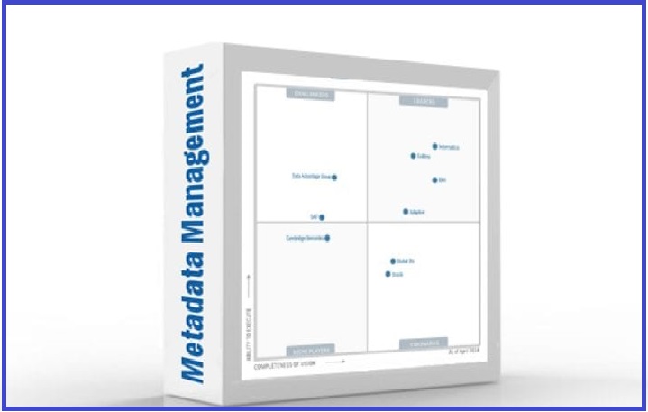 Metadata Management Solutions