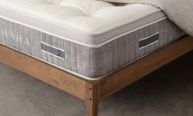 latex mattress for futon