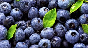 Blueberries For Immunity Boosting