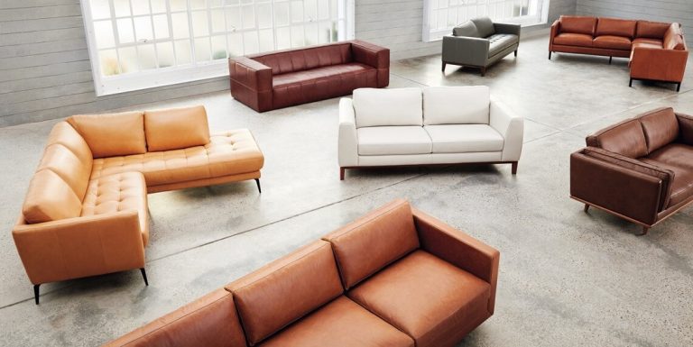 Leather Couch Care