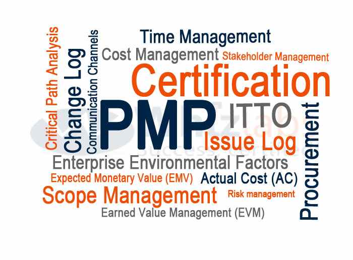 PMP Certified Project Manager