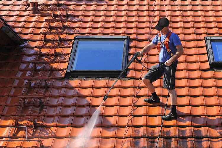 professional roof cleaner