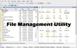 one example of a file management utility is windows