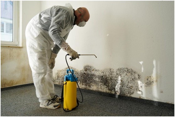 Benefits of Water Damage Restoration