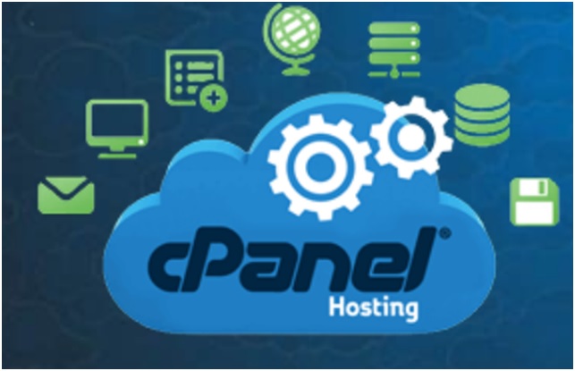 Cpanel Server Management Service