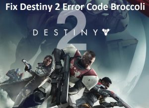 Fix Destiny 2 Error Code Broccoli
