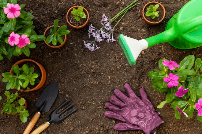 House Gardening