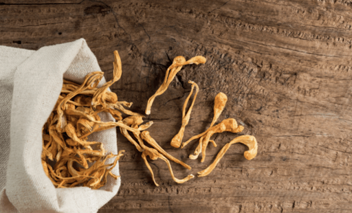 Cordyceps herbs help in the treatment of cancer