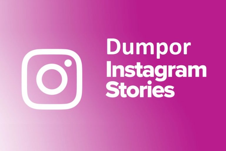 Dumpor Best Instagram Story Viewer and Profile Editor Tool