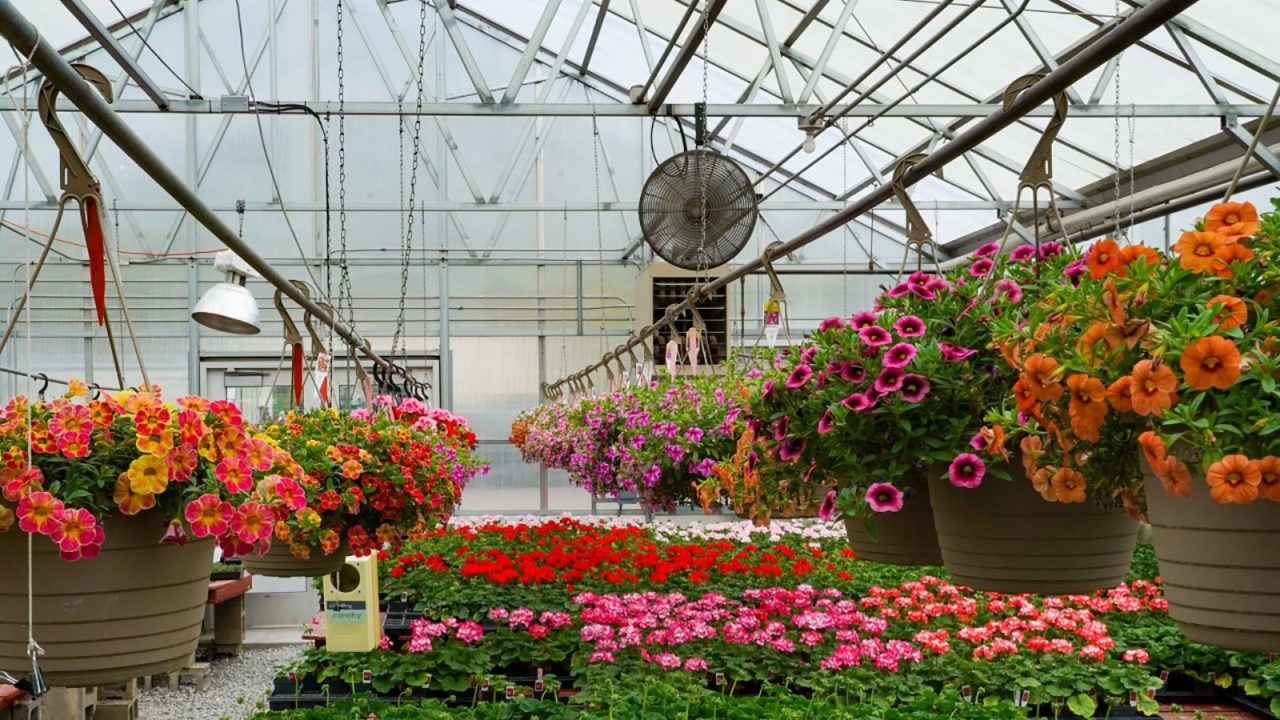 Everything You Need To Know About Plant Nursery Design - Aik Designs