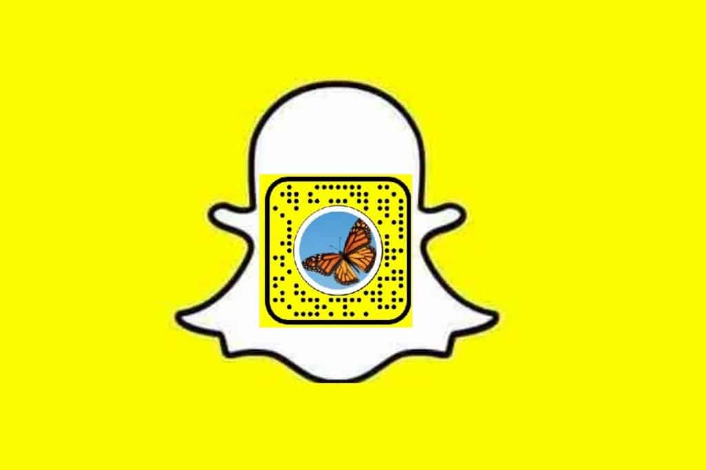 Unlock The Butterflies Lens On Snapchat