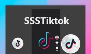 SSSTikTok Download Free TikTok Videos