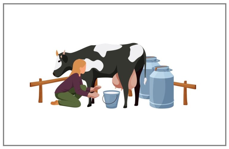 wellhealthorganic.com : buffalo milk good for health