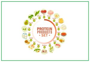 Wellhealthorganic.Com:Vegetarian Protein Sources