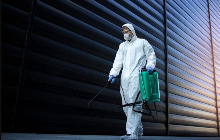 pest control in Trenton