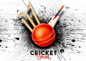 South Africa VS India Cricket Match