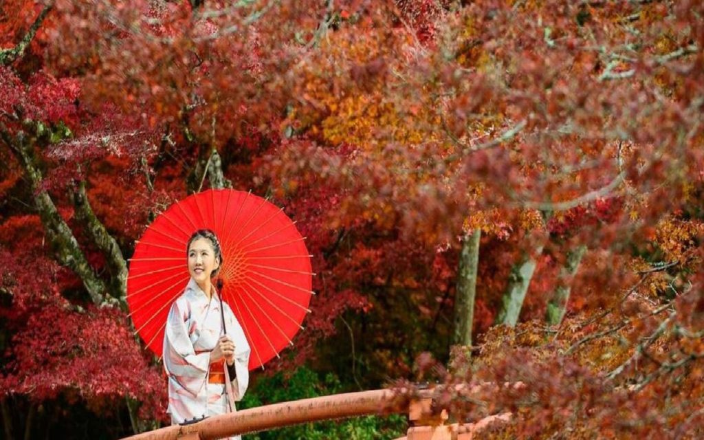 Flamingo Transworld for Japan Tours