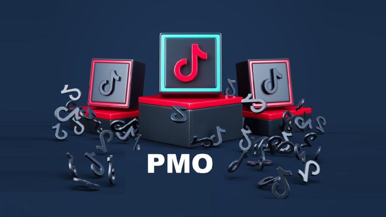 PMO TikTok Meaning