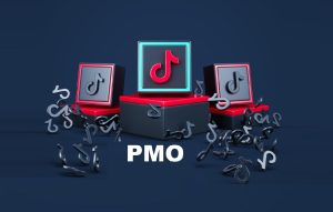 PMO TikTok Meaning